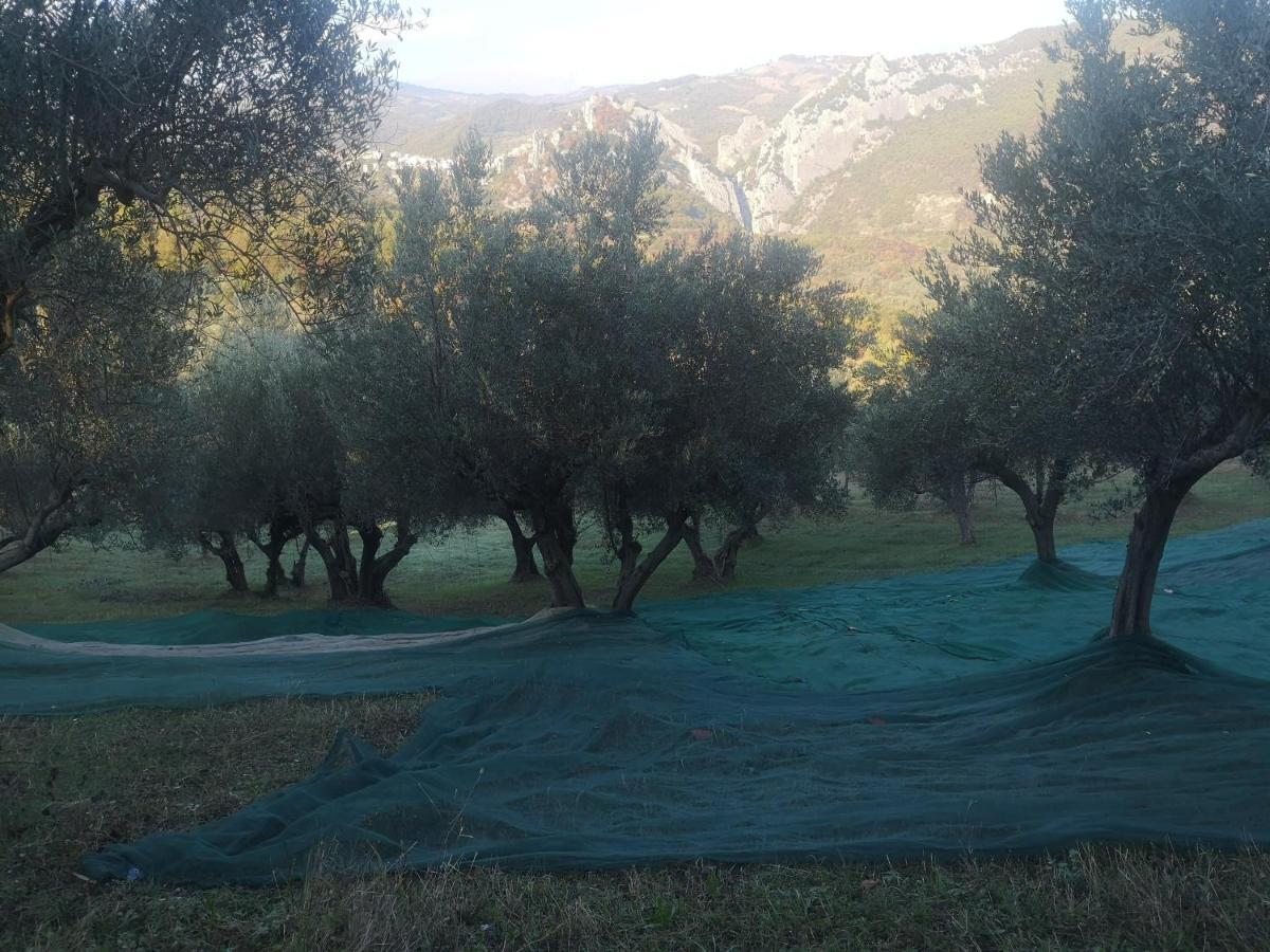 Agriturismo Olimpo Villa Santa Maria  Bagian luar foto