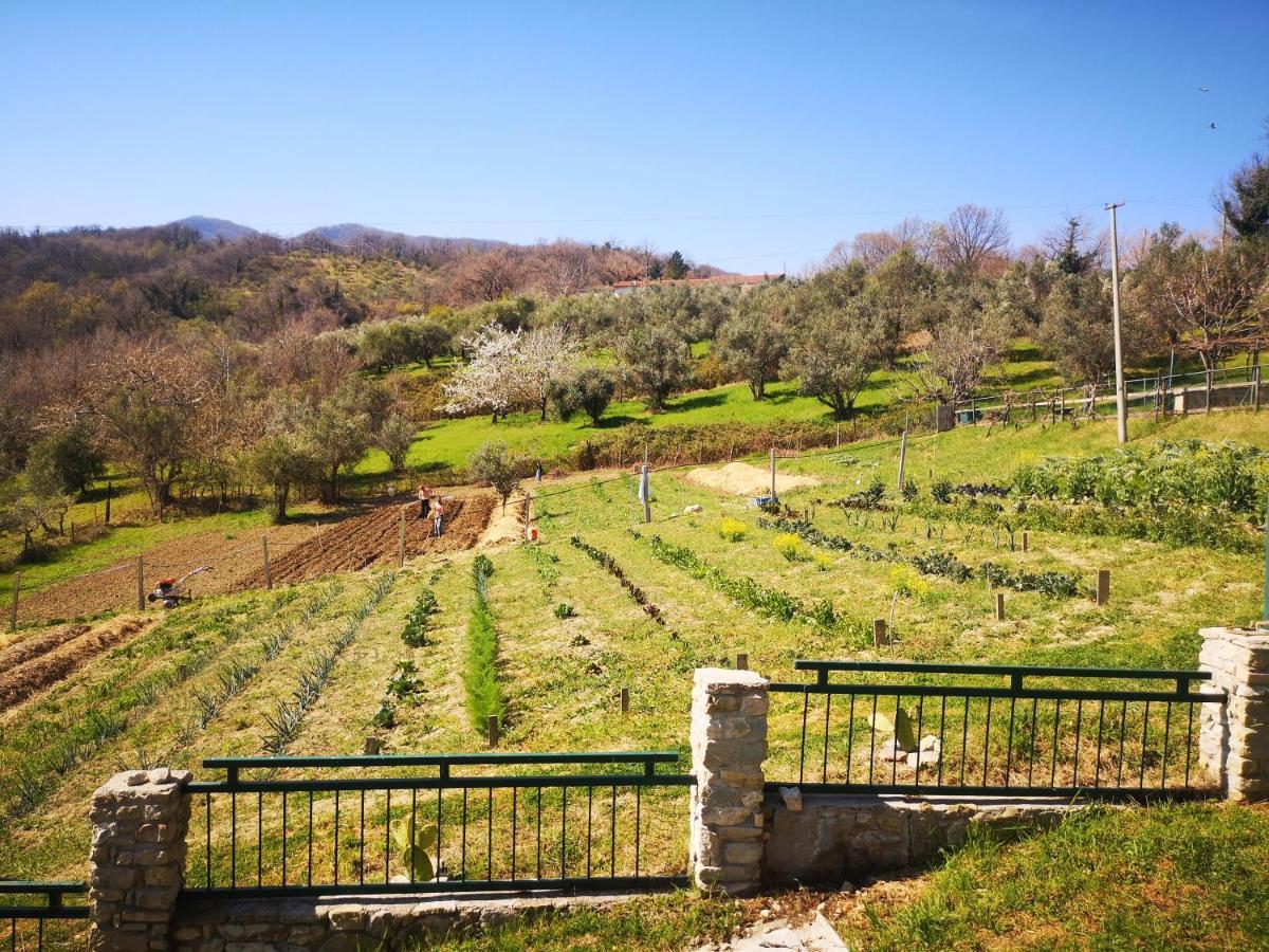 Agriturismo Olimpo Villa Santa Maria  Bagian luar foto