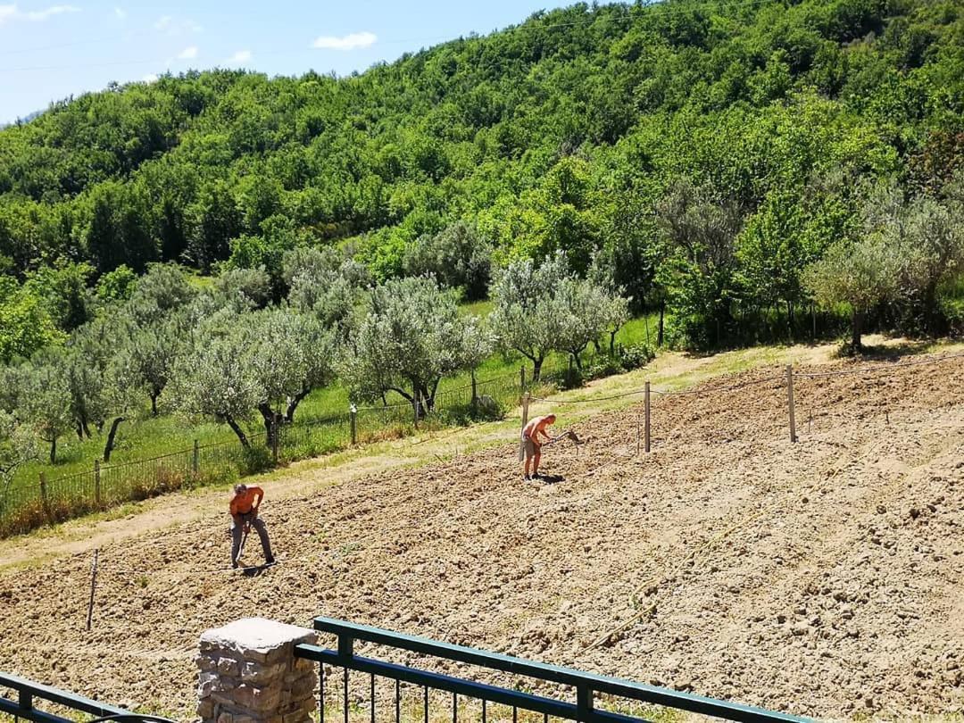 Agriturismo Olimpo Villa Santa Maria  Bagian luar foto
