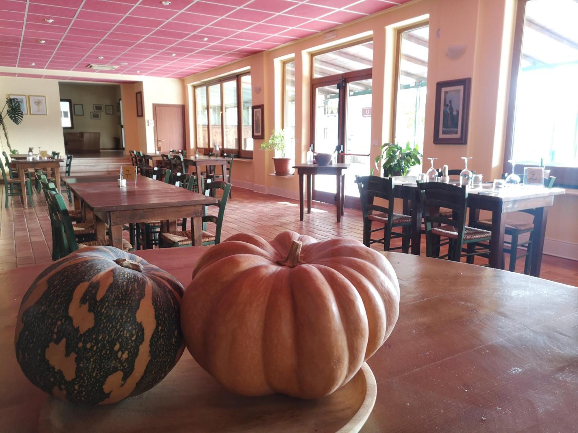 Agriturismo Olimpo Villa Santa Maria  Bagian luar foto