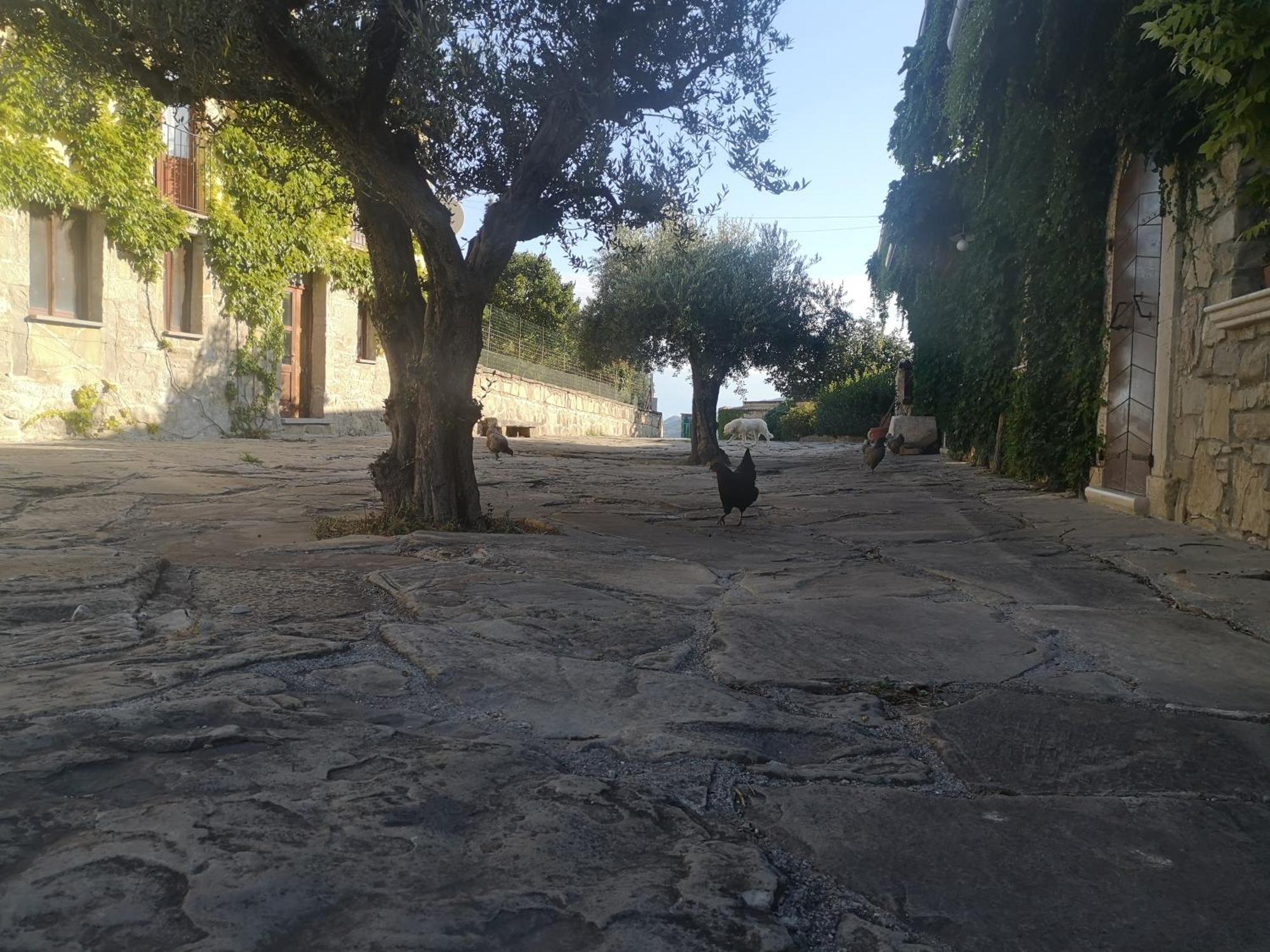 Agriturismo Olimpo Villa Santa Maria  Bagian luar foto